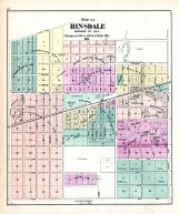 Hinsdale, DuPage County 1874